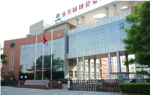 北京索英電氣技術 數字化咨詢服務領域的創新領航者