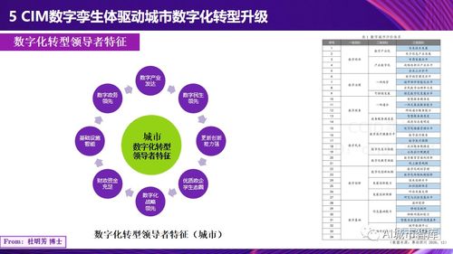 數字孿生城市 數字技術服務城市治理的理論與實踐